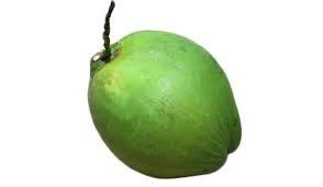 COCONUTS